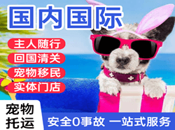 阿荣空运公司国际宠物托运 【国